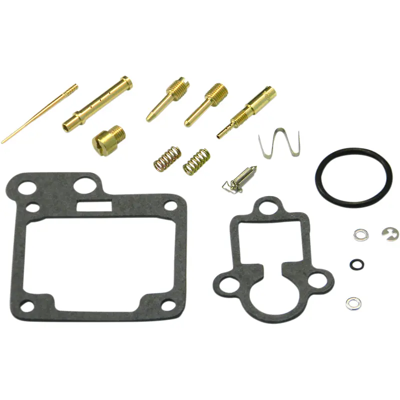 Carburetor Repair Kit