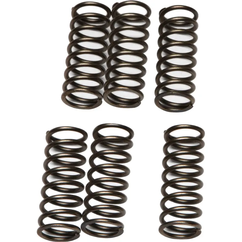 EBC CLUTCH SPRINGS CSK79