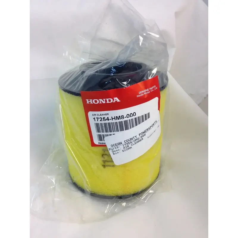 1997-2022 TRX250 TM TE Recon 2001-2023 TRX250X/EX HONDA OEM AIR FILTER ELEMENT