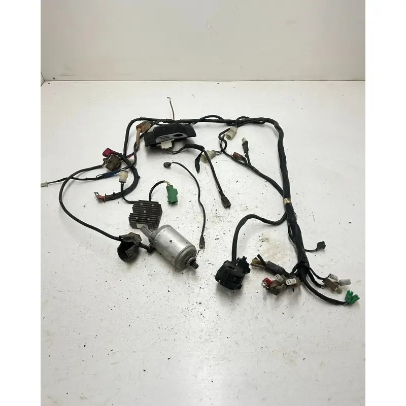 85 1985 Honda Fourtrax TRX250 Trx 250 OEM Wiring Harness Mount Plug Coil CDI ECU