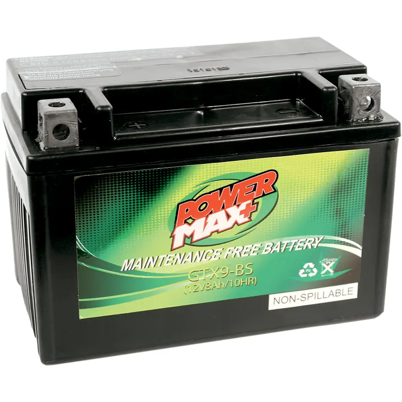 Maintenance-Free Battery