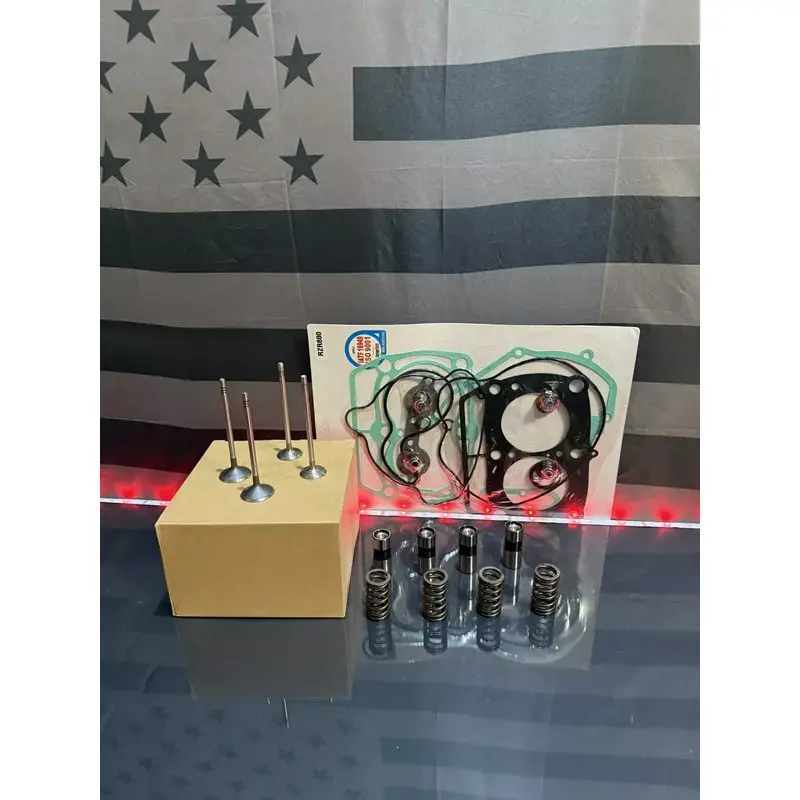 Polaris Ranger RZR Sportsman 800 Valves / Springs / Lifters / Gaskets
