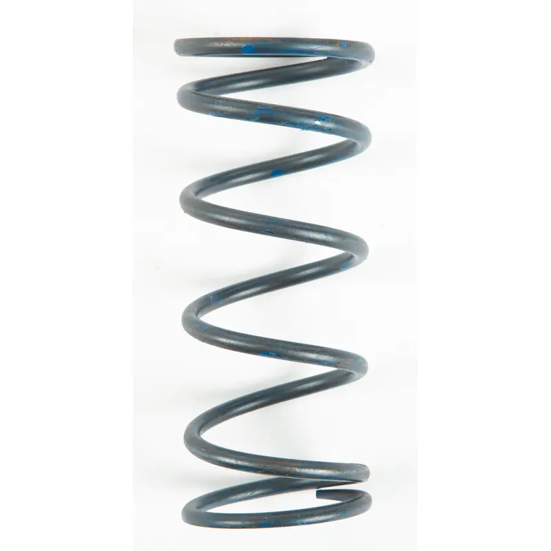 Clutch Spring