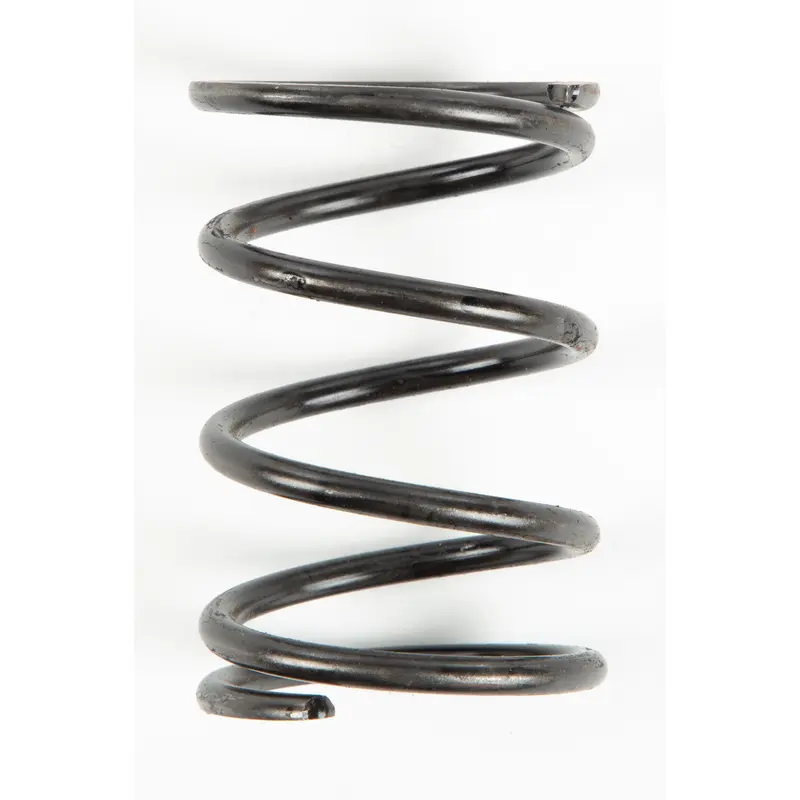 Clutch Spring