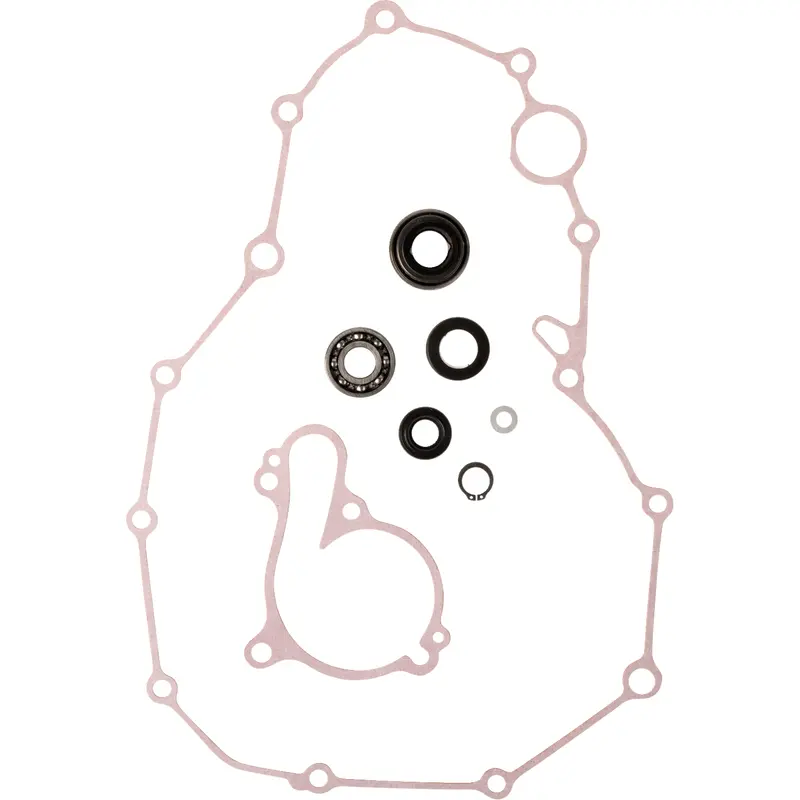 Water Pump Rebuild Kit