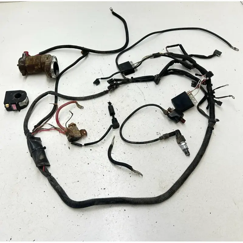 03 2003 Polaris Trailblazer 250 2x4 OEM Wiring Harness Mount Plug Coil CDI ECU
