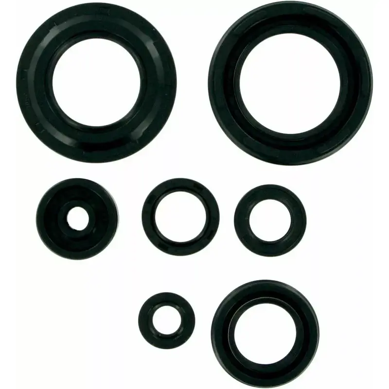 Moose Racing ATV UTV Oil Seal Kit M822154