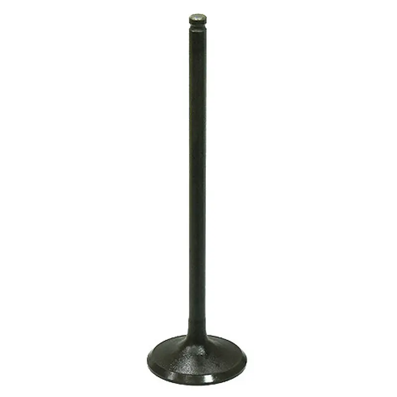 BRONCO INTAKE VALVE