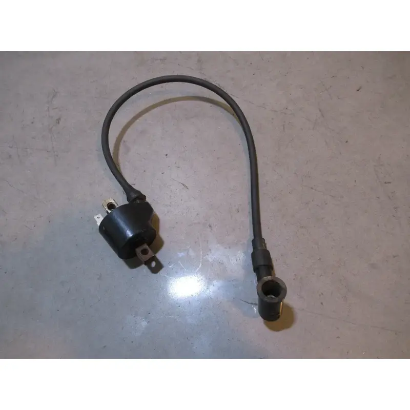 Polaris Xplorer 400 Ignition Coil 1999