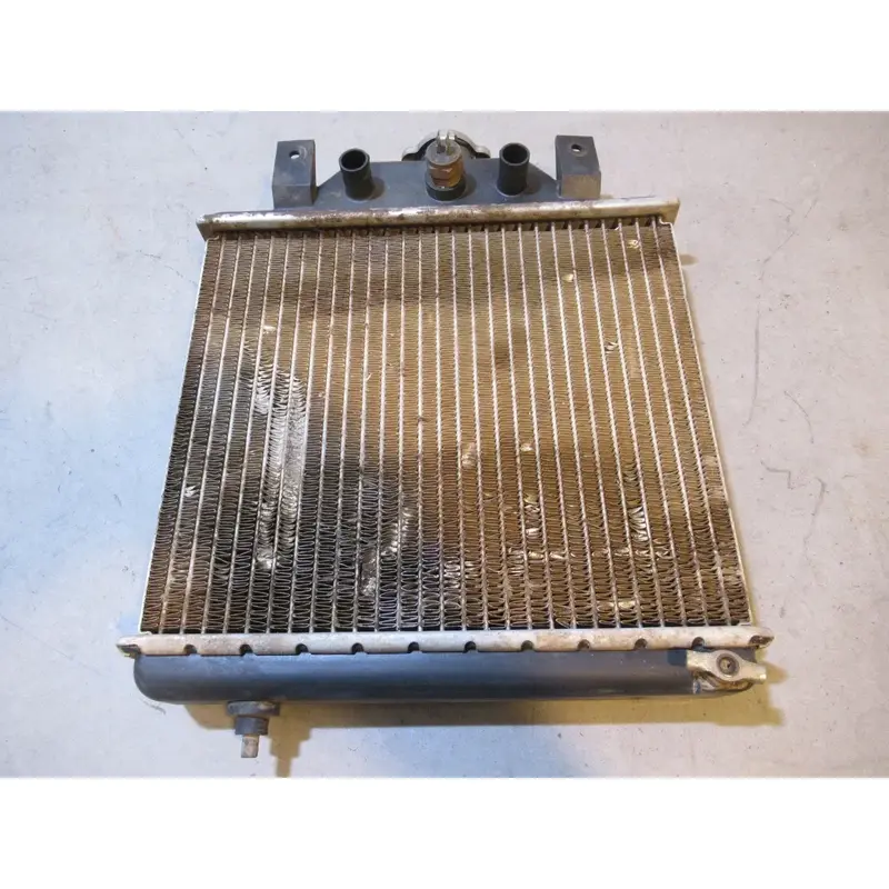 Polaris Xplorer 400 Radiator 1999