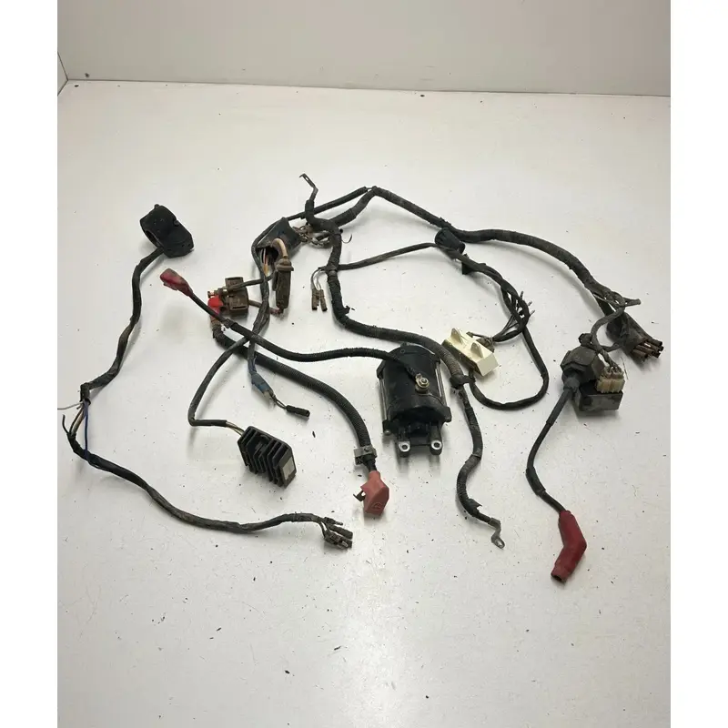 86 1986 Honda Fourtrax 200sx TRX200SX OEM Wiring Harness Loom ECU CDI Coil Start