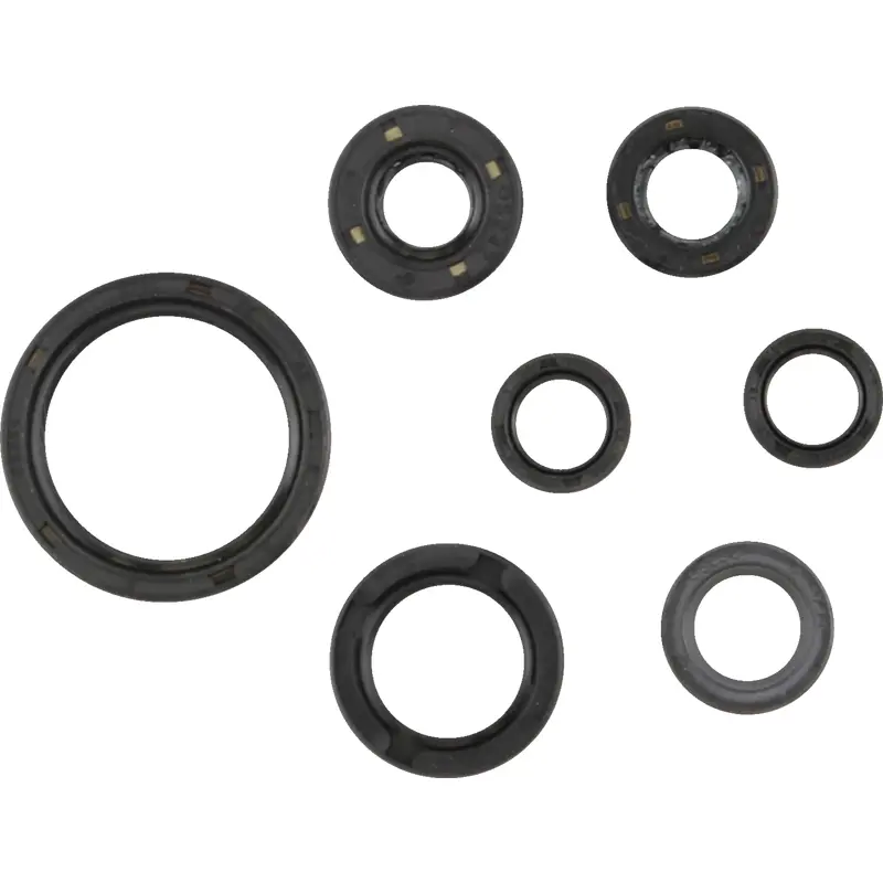 Oil Seal Kit