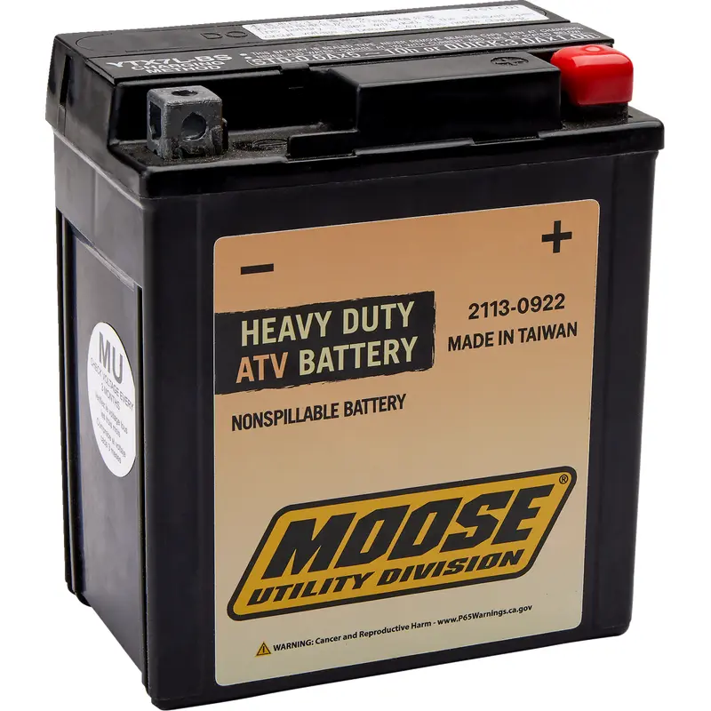 Factory-Activated AGM Maintenance-Free Battery