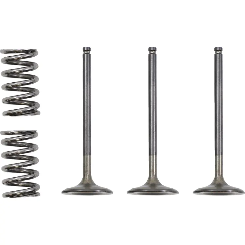 Prox Valve and Spring Kit - Intake - Gas Gas | Yamaha