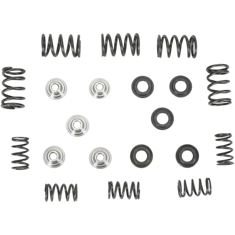 Valve Spring Kit