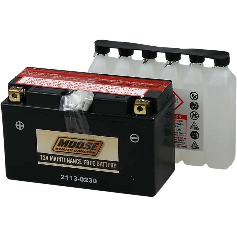 AGM Maintenance-Free Battery