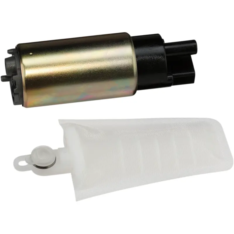 Electric Fuel Injection Pump with Strainer Kit