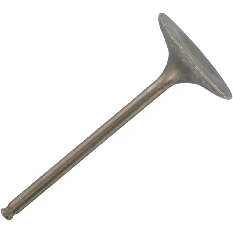 Engine Valves