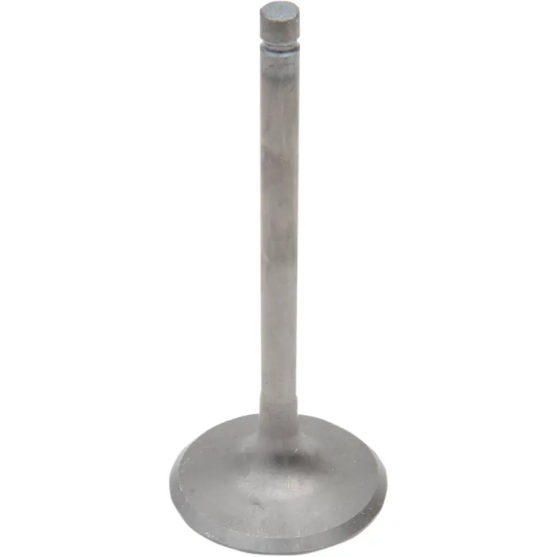 Engine Valves