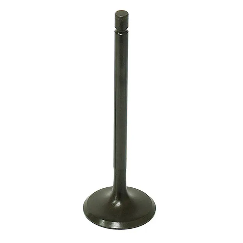 BRONCO INTAKE VALVE