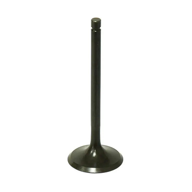 BRONCO INTAKE VALVE