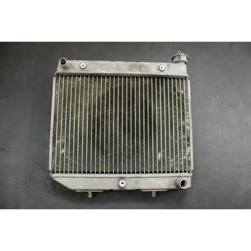 2008 Honda Trx450 OEM Radiator  B4420