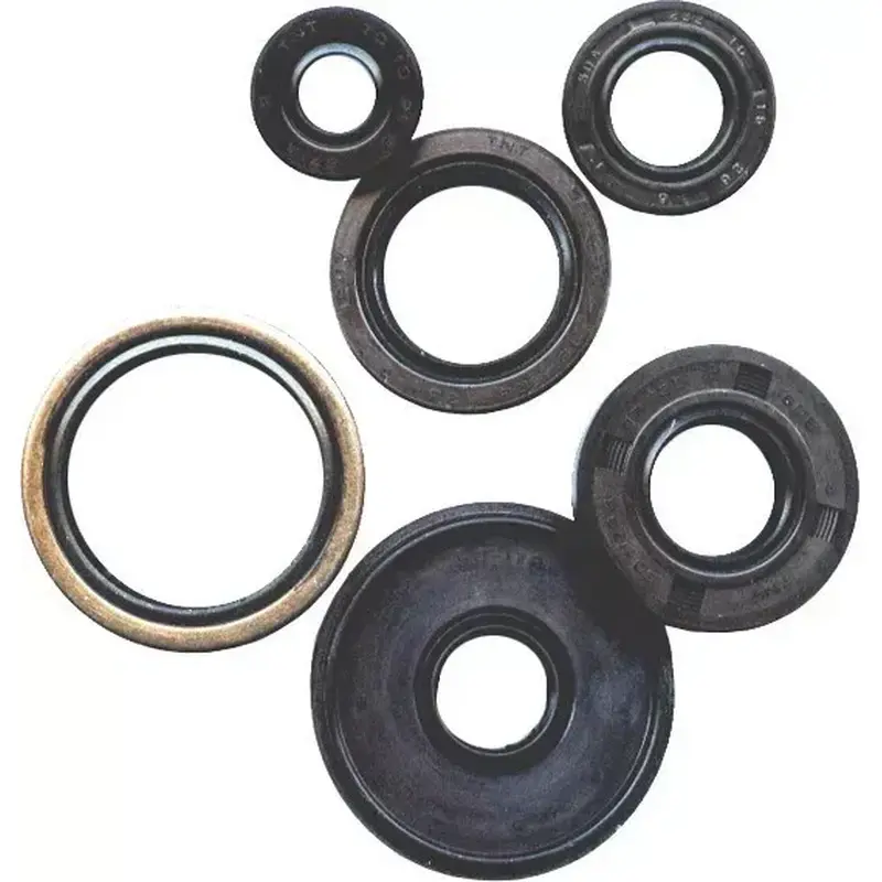 Winderosa Engine Oil Seal Kit Honda TRX200/D 1990-1997 Brand New NOS 822255