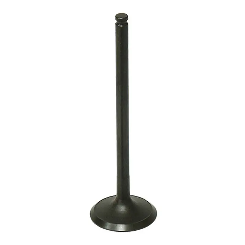 BRONCO EXHAUST VALVE
