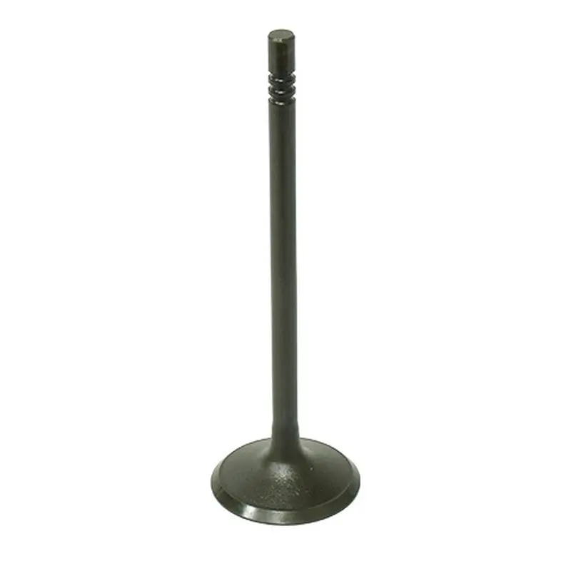 BRONCO INTAKE VALVE