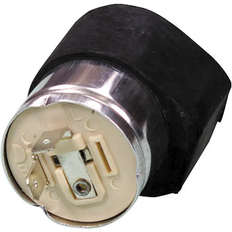 EMGO 12-V FLASHER/2 PRONG