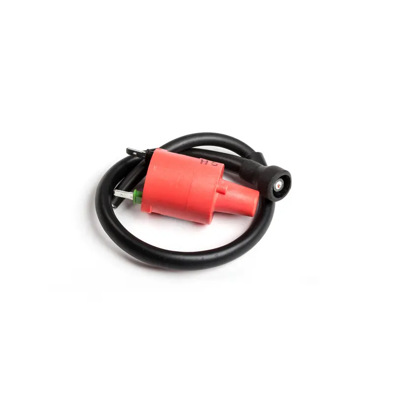 RICKS IGNITION COIL