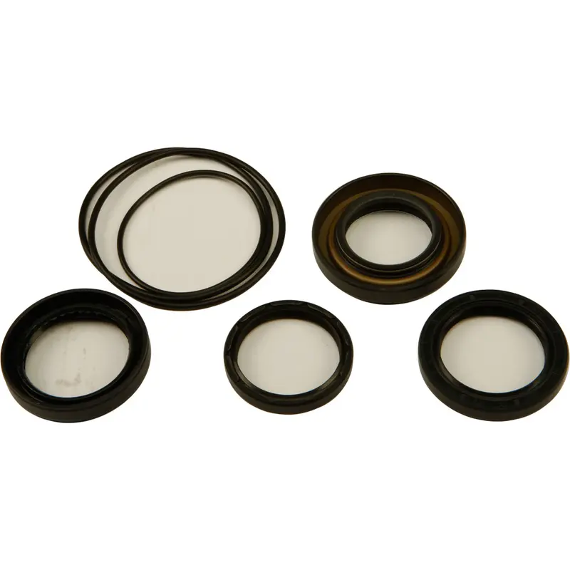 ALL BALLS DIFFERENTIAL SEAL KIT