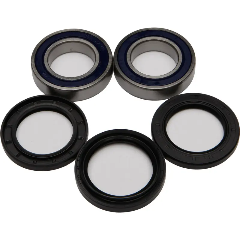 ALL BALLS WHEEL BEARING & SEAL KIT