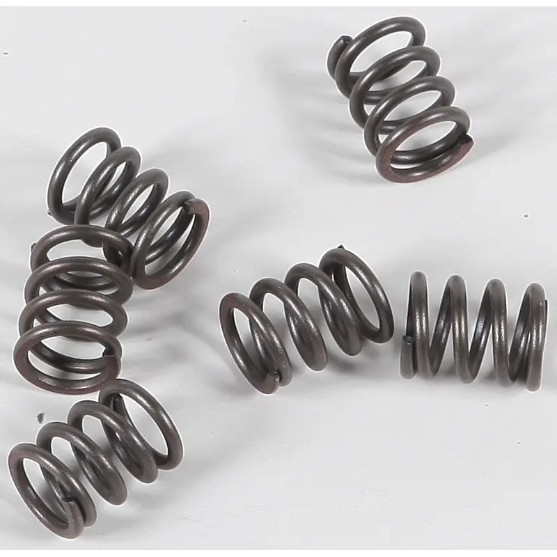 EBC CLUTCH SPRINGS CSK21