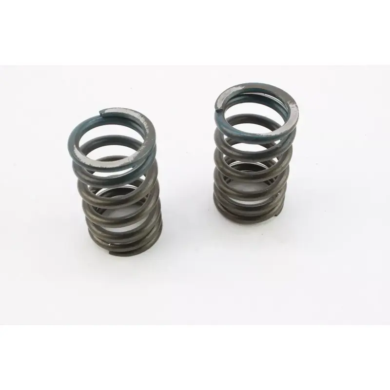 2003 Suzuki Quadsport Z400 Ltz400 2x4 Valve Spring k7248