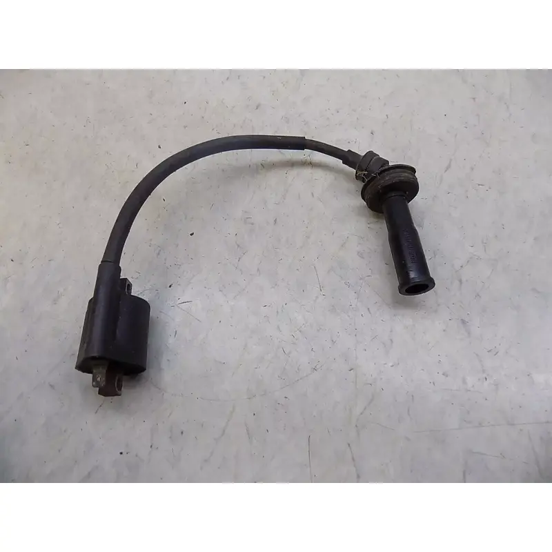 Yamaha Raptor 660 Ignition Coil   2001