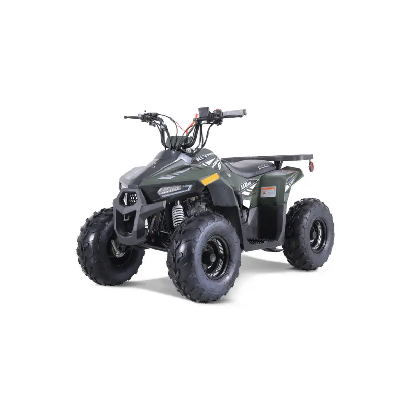 Tao Tao Rival Mudhawk 6 Children's ATV, 4-Stroke 110cc