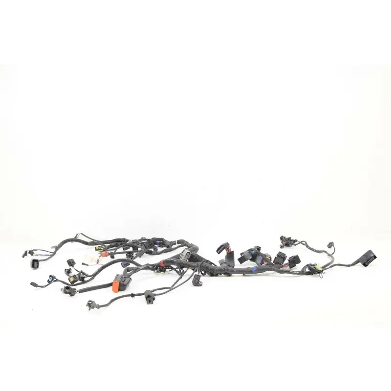 2011 Triumph Tiger 800XC 800 ABS Main Wiring Harness Loom T2508021