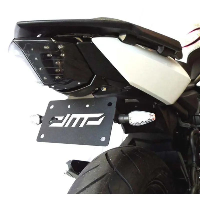 DMP FENDER ELIMINATOR KIT W/LIGHTS 675-6370