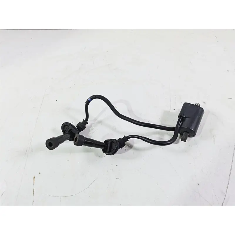 2003 Suzuki GSF1200 Bandit Denso Ignition Coil + Wiring & Plugs 33420-31F00