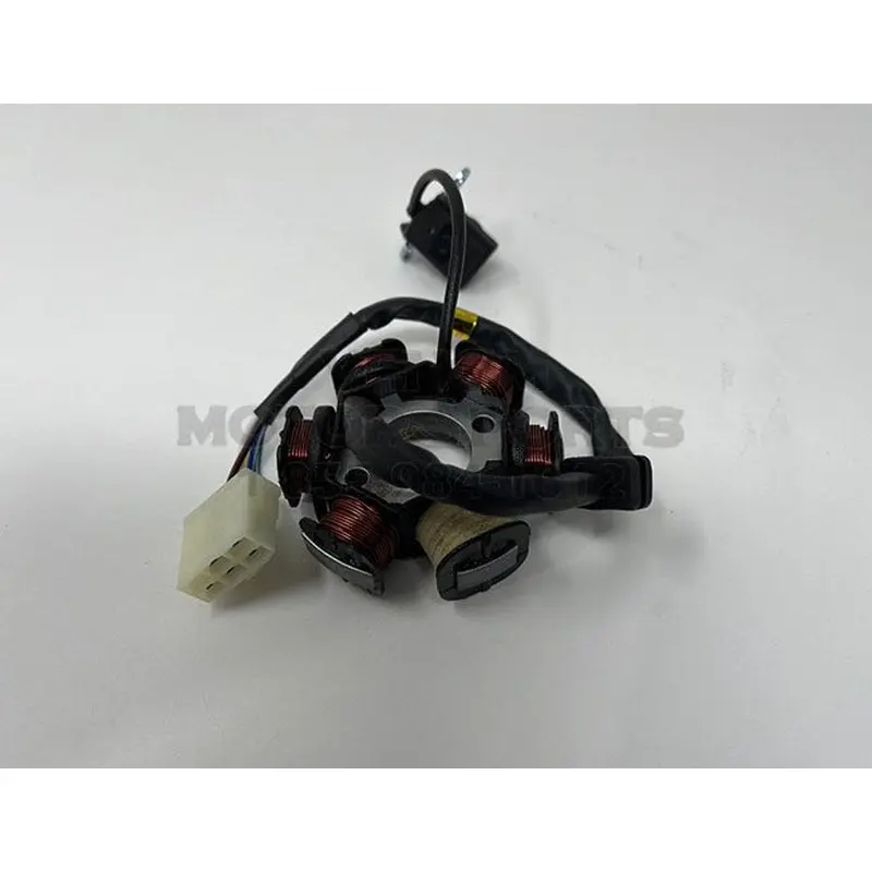 Grizzly 125cc Stator