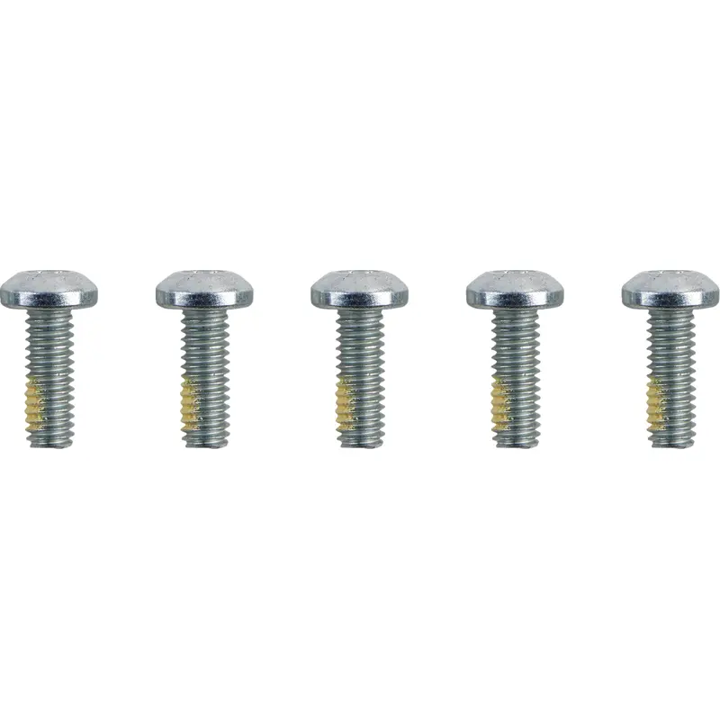 DRAG SPECIALTIES Hardware Kit - Brake Rotor - Torx - without Nuts - 5/16"-18 O39-0401