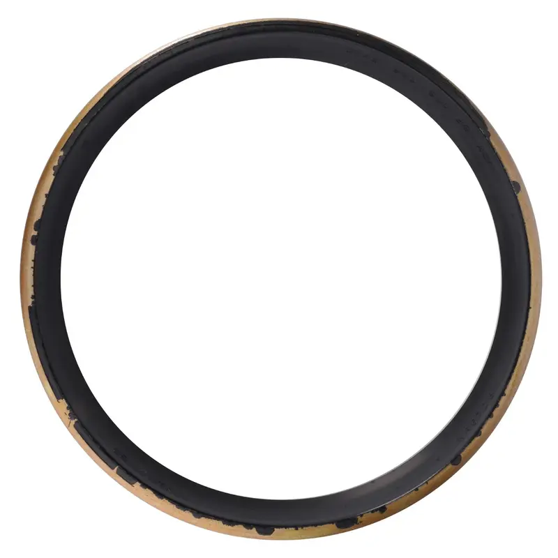 AGCO | Scraper Ring - 3010457X1