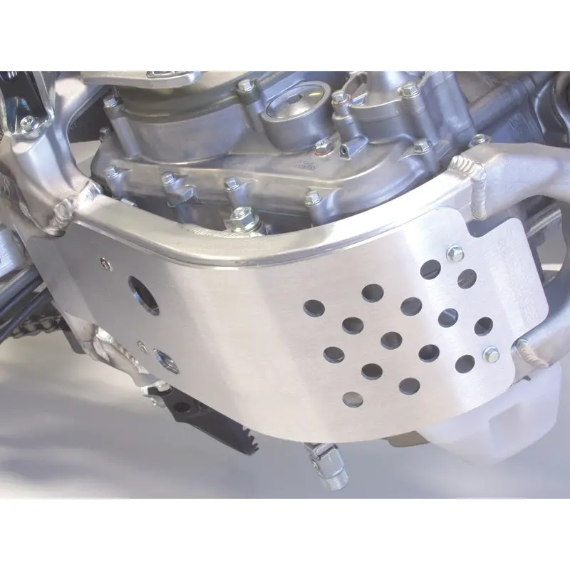 WORKS SKID PLATE 10-245