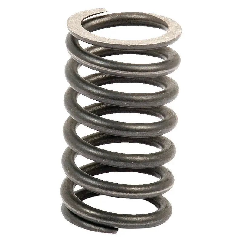 Valve Spring - Outer | Sparex Part No.S.66028