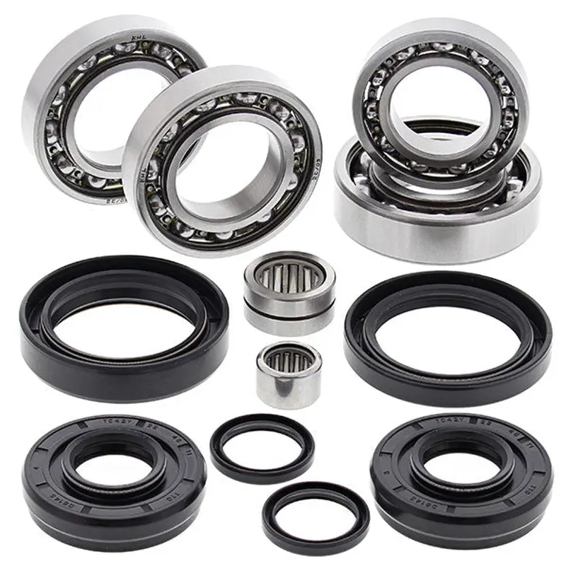 ALL BALLS DIFFERENTIAL BEARING AND SEAL KIT (25-2071)