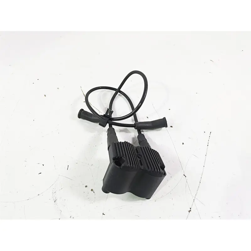 2003 Harley Touring FLHTCUI E-Glide 100th Ignition Coil Wires Plugs 31743-01