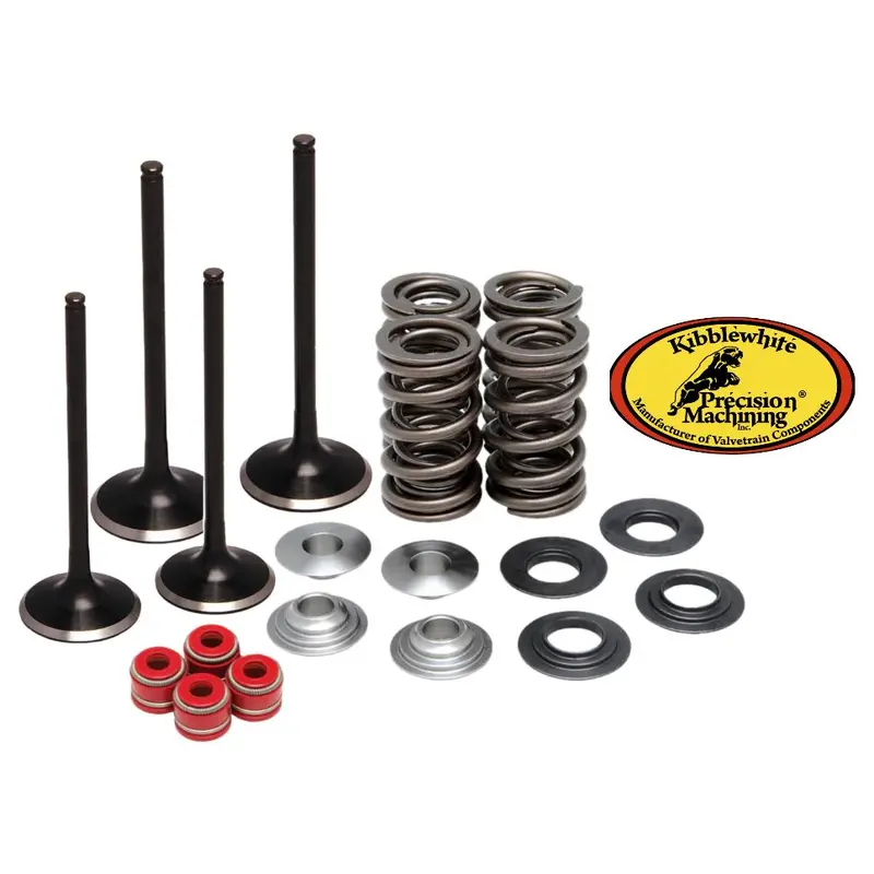 King Quad LTA 750 Black Diamond Valves Valve Springs Kibblewhite Head Rebuild