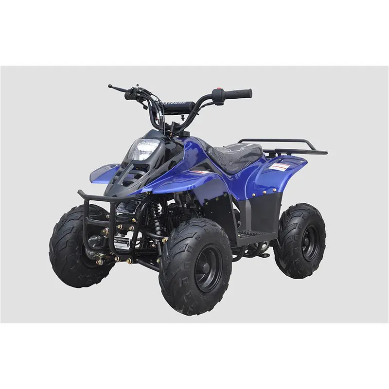 Rexhawk 110 Children's ATV, 4-Stroke 110cc