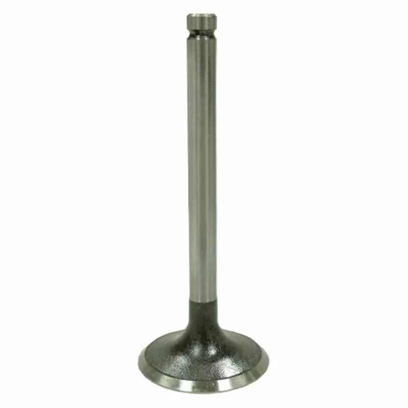 VALVE INTAKE (AU-09208I)